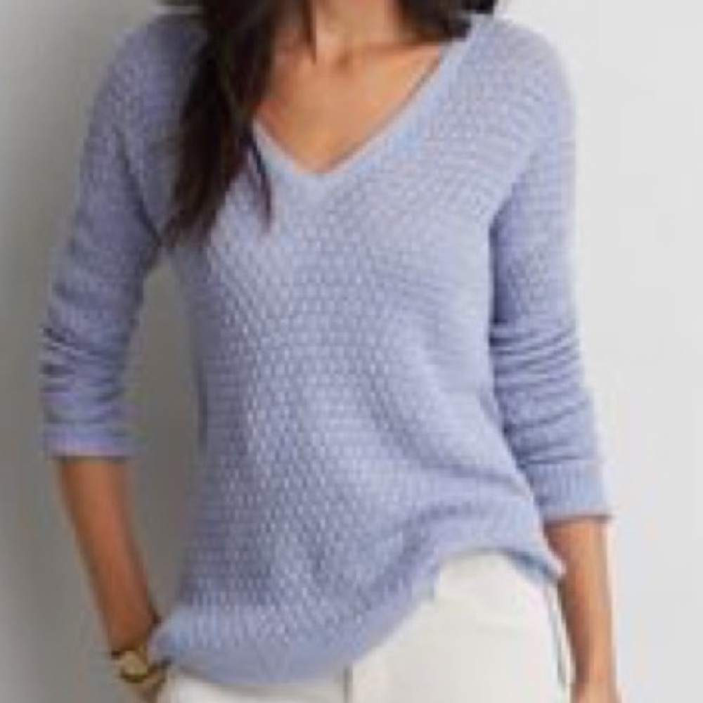 NWOT AE Textured V-neck Sweater